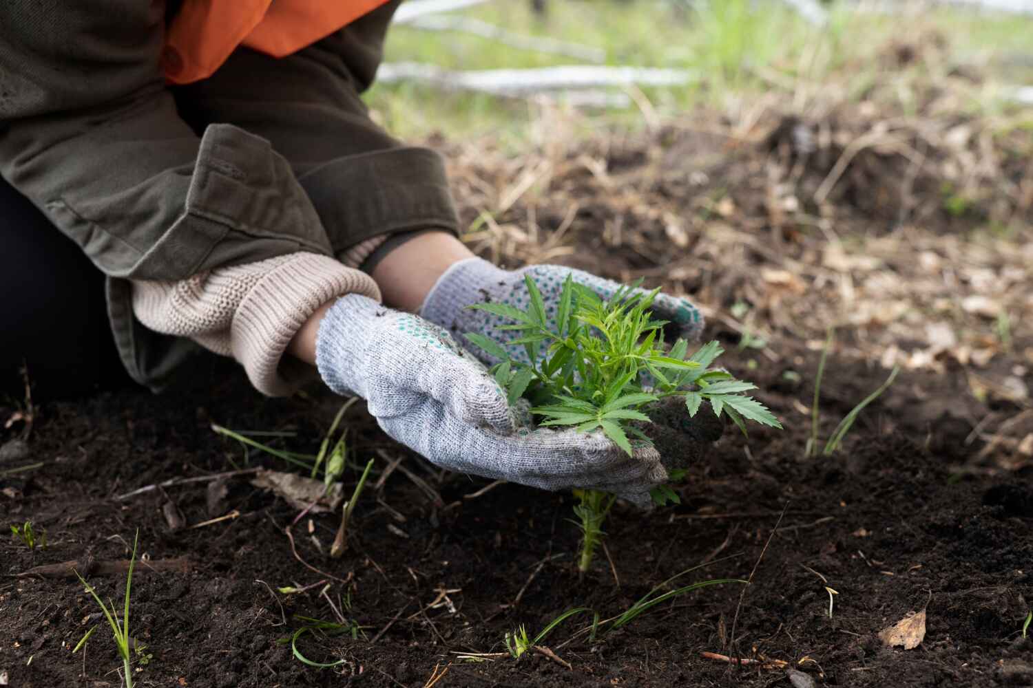 Best Arborist Services Near Me  in Marshallton, PA